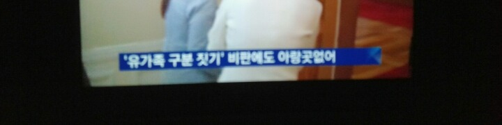  정부 세월호 보고서.jpg | 인스티즈