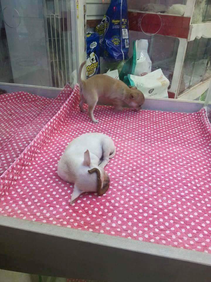 똥싸고튐 | 인스티즈