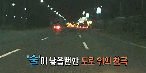 운전자 80%가 못 피하는 상황.gif | 인스티즈