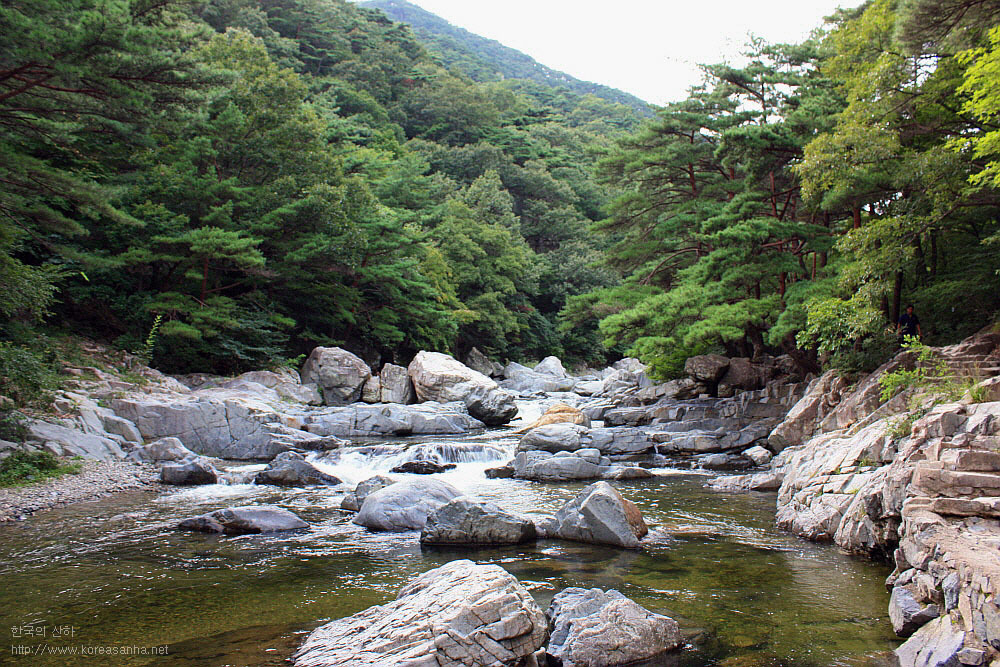 배산주유소 이미지