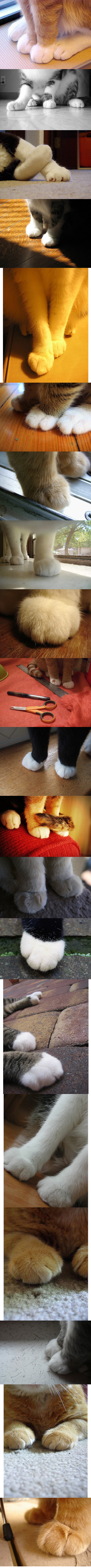 장화신은 고양이 | 인스티즈