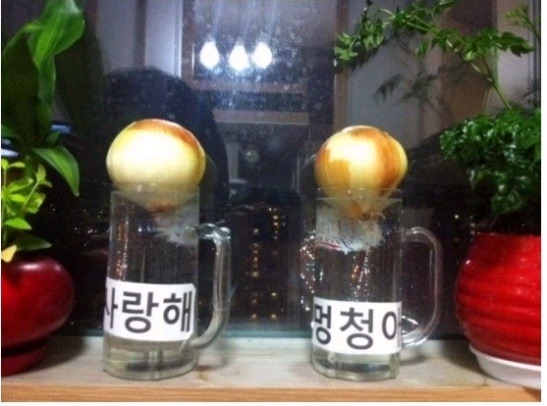 근하환경 이미지