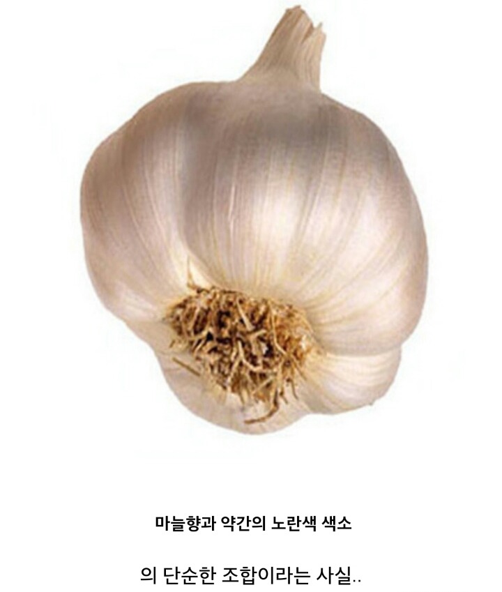 많은 사람들이 열광하는 갈릭디핑소스의 실체.jpg | 인스티즈