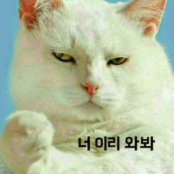 흠 이미지