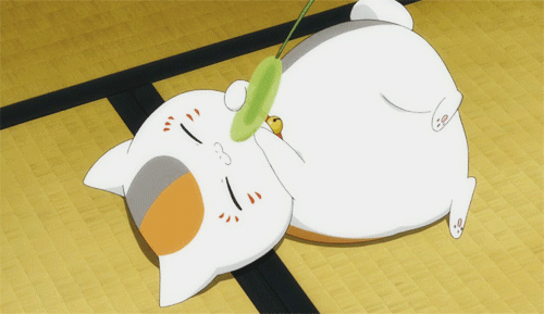 2D 고양이 | 인스티즈