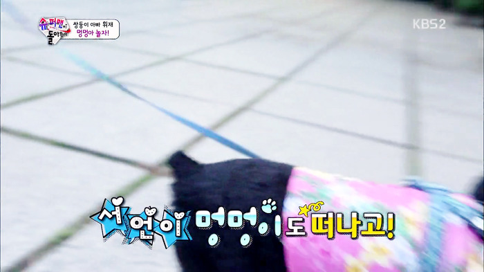 [슈퍼맨이돌아왔다] 서언이가 한없이 관대해지는 존재들ㅋㅋㅋ.JPG | 인스티즈
