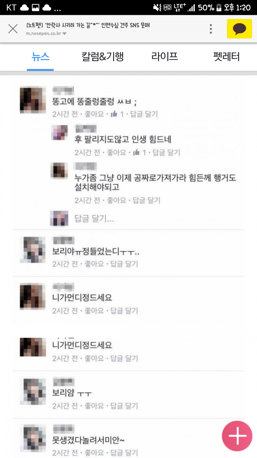 멀쩡한 강아지 안락사 SNS 인증 | 인스티즈