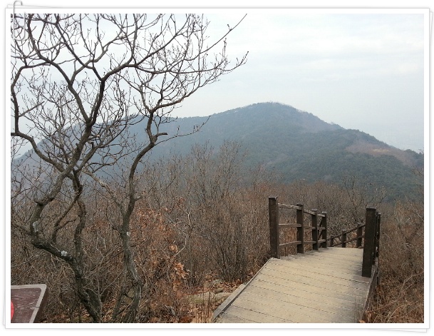 까치갈비 이미지