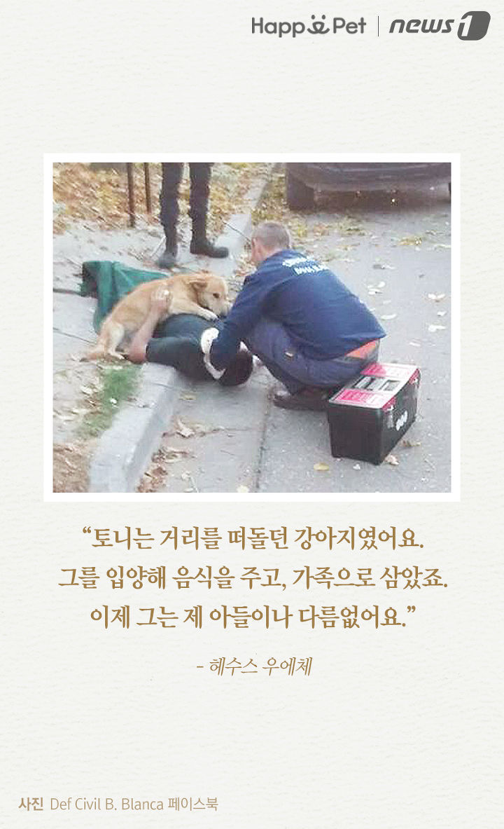 내 주인님 좀 살려주세요ㅜㅜ | 인스티즈