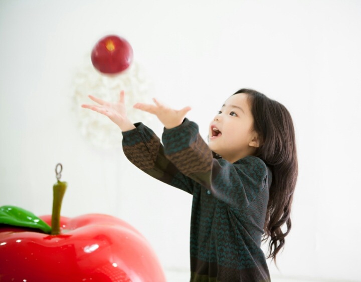 엘가스튜디오 이미지
