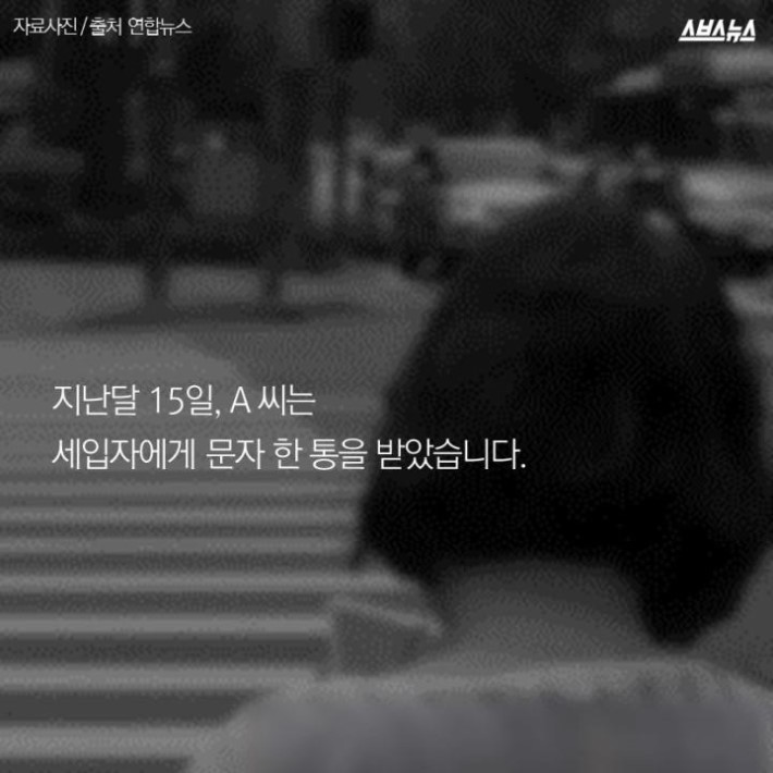 버려진 고양이 40마리 | 인스티즈