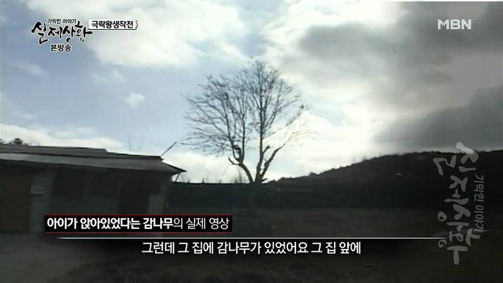 차가운 야산에 묻힌 12살 정우의 안타까운 사건 '기막힌 이야기 실제상황' (2) | 인스티즈