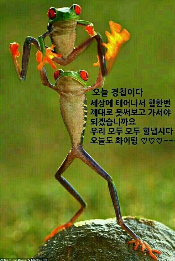 새물내 이미지