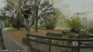 고자되는 법.gif | 인스티즈