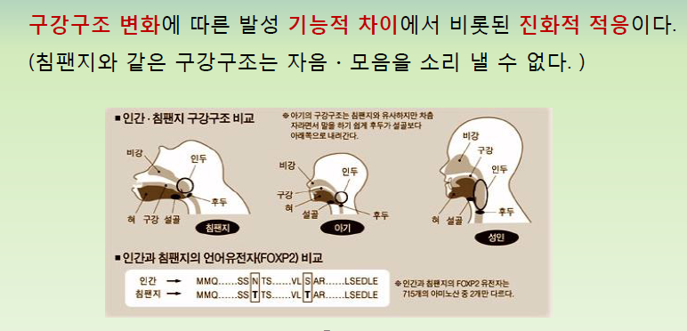 인간의 변화중 가장 영향이 컷던 변화는? | 인스티즈