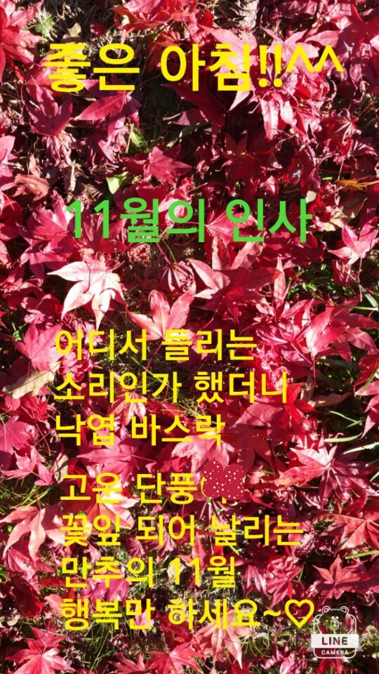 송은 이미지