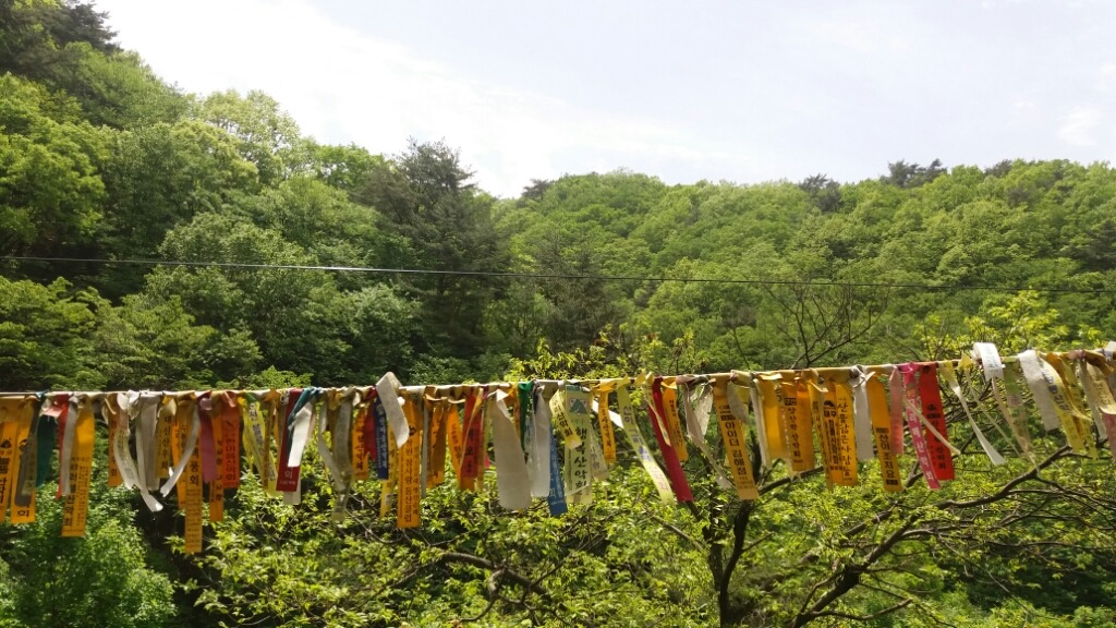 지리산대성골그집 이미지