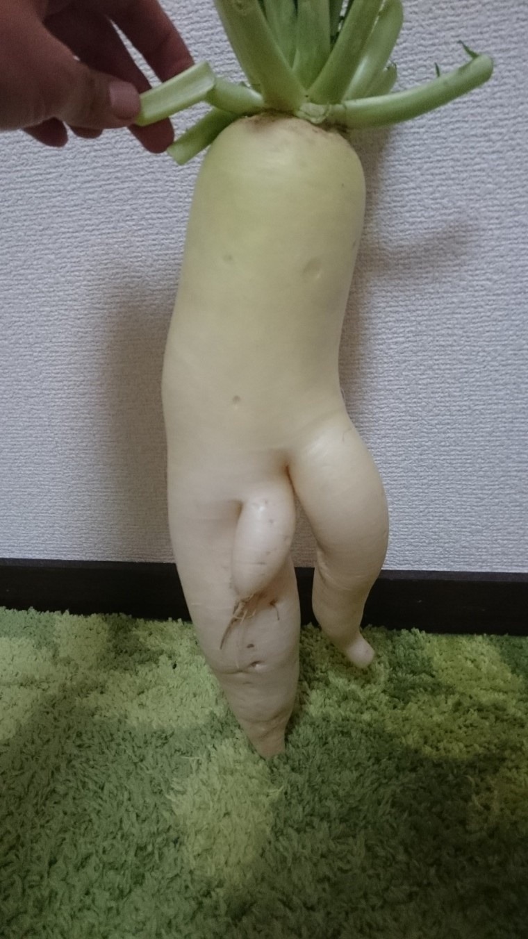 이거 진짜 너무하는거 아닌가요? | 인스티즈