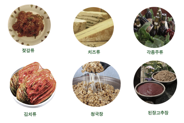 천기누설식품 이미지