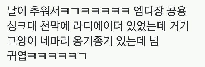 날이 추워서 난로에 모인 고양이 네마리.jpg | 인스티즈