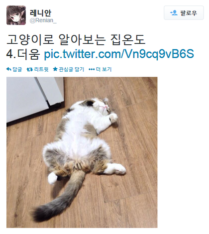 고양이로 알아보는 집 온도.twt | 인스티즈