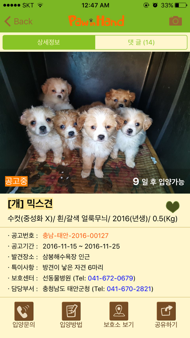 데려가는 사람이 없으면 안락사당해야하는 멍멍이들 | 인스티즈