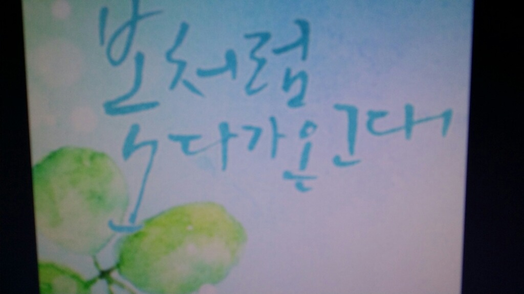 복덩어리 이미지