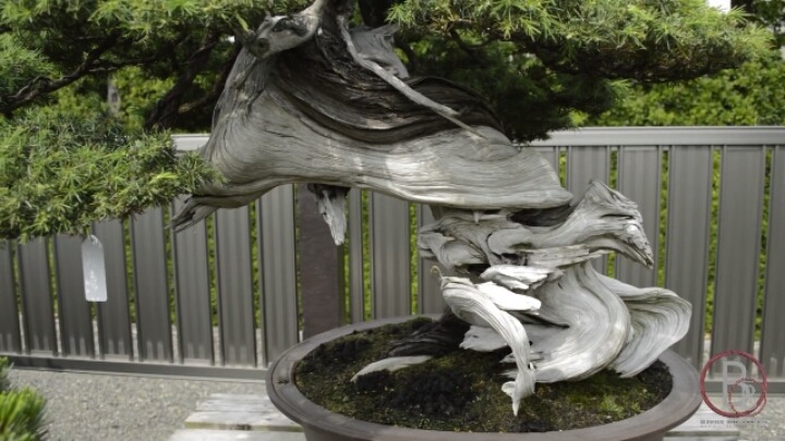 은근히 돈많이 나가는 고급 취미생활 | 인스티즈