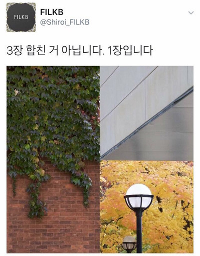 사진 한 장.jpg | 인스티즈