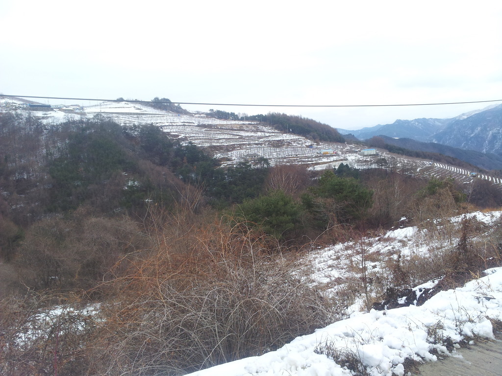 아산황토펜션 이미지