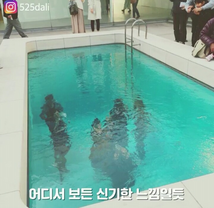 신기한 수영장.jpg | 인스티즈