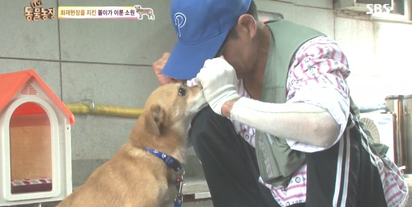 화재로 무너진 집에서 주인을 기다리는 멍멍이.jpg | 인스티즈