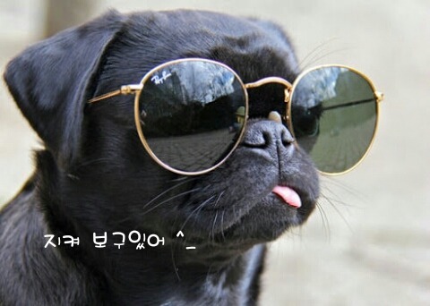 중국슈퍼 이미지