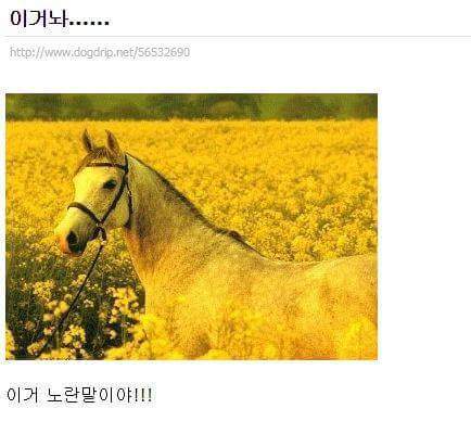 유머 모음집 | 인스티즈