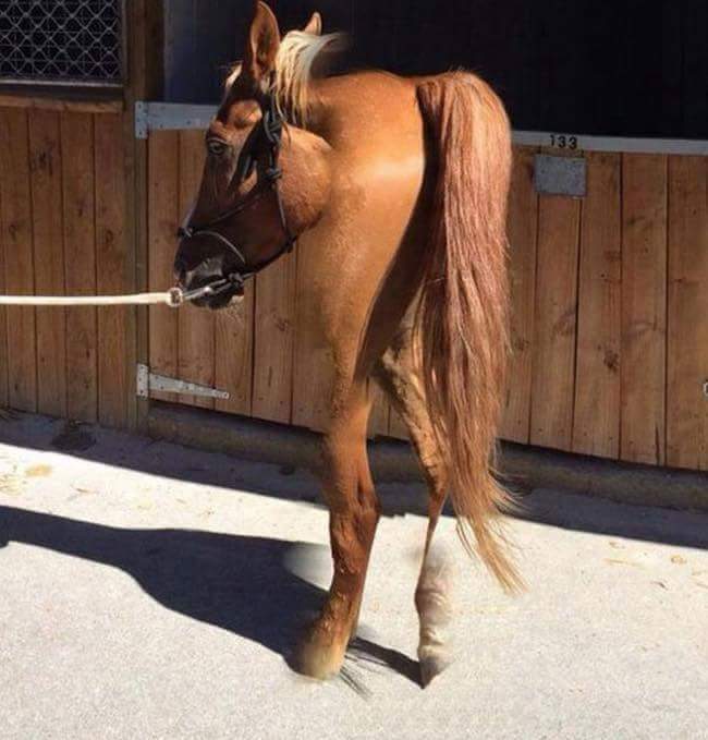 파노라마 사진들 | 인스티즈