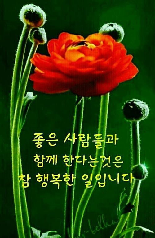 덕성 이미지
