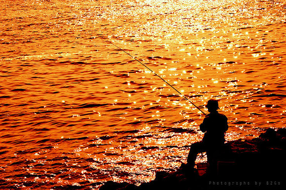 생선계의 화차ㄷㄷ | 인스티즈
