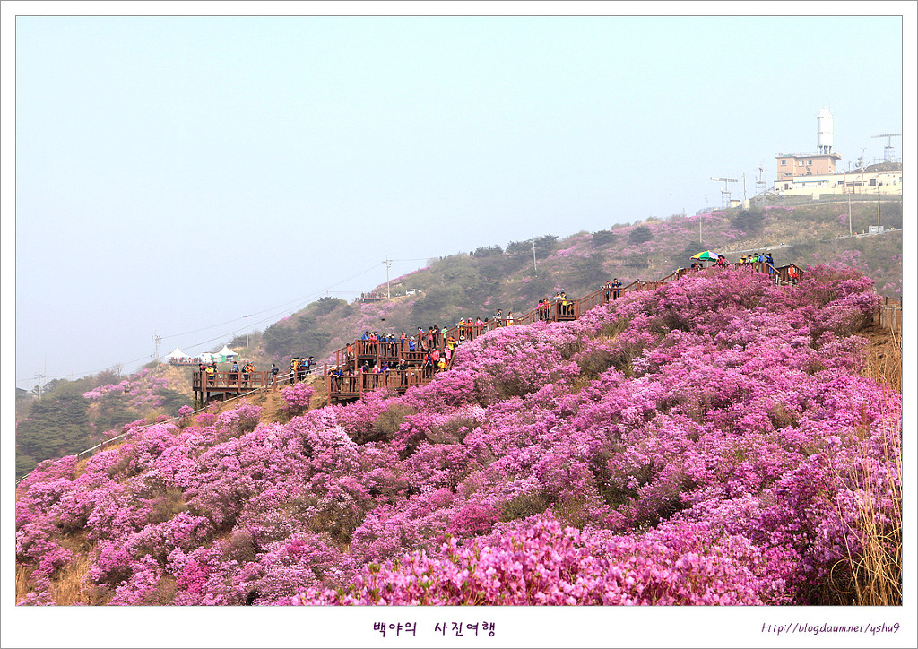 고려산 이미지