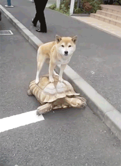 지각할거 같아서 택시탔을때.gif | 인스티즈
