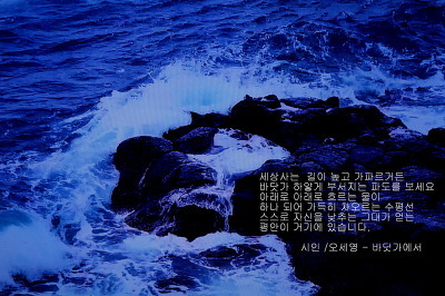 보라색 이미지