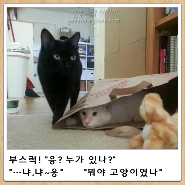 12시 전에 올리는, 오늘자 최신 보케테 | 인스티즈