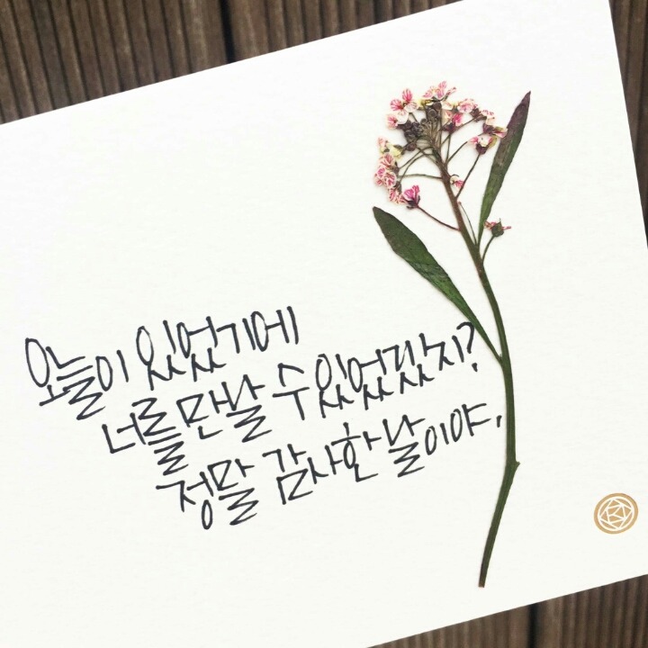오늘은별 이미지