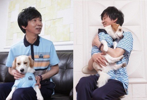샵에서 사지않고 유기견,유기묘 키우는 연예인들 | 인스티즈