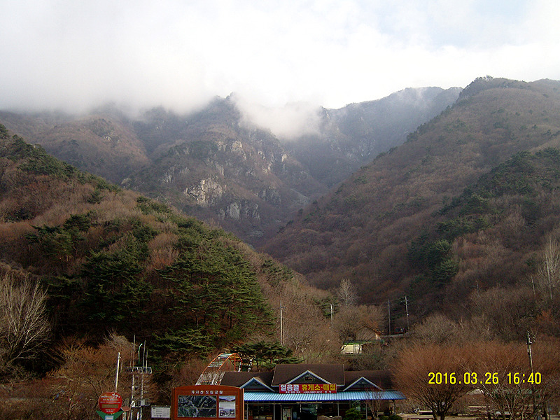 제일농원 이미지