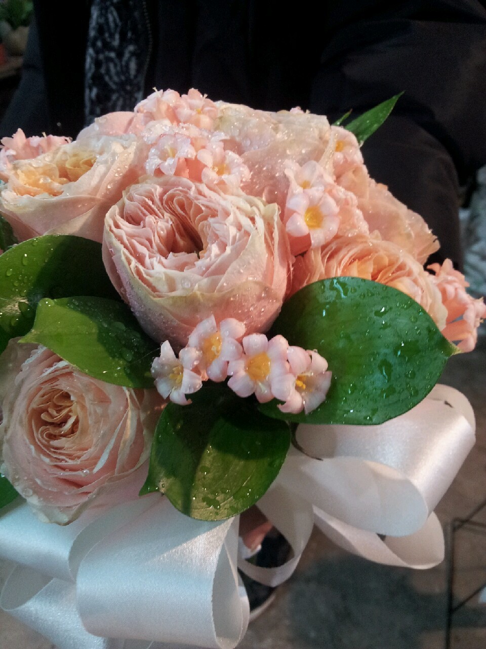 줄리엣로즈 이미지