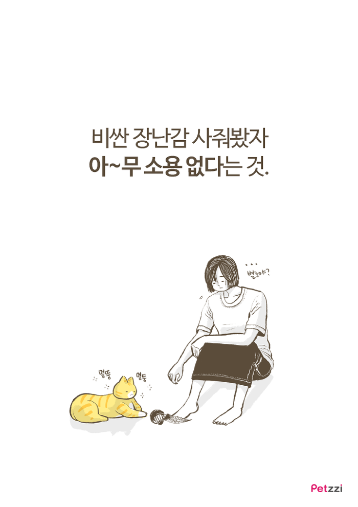 이해할 수 없는 고양이들의 취향.jpg | 인스티즈