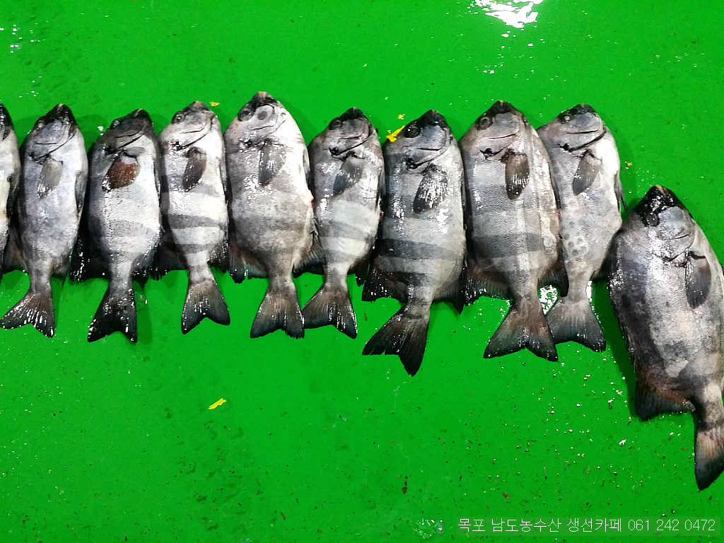 보교기획 이미지