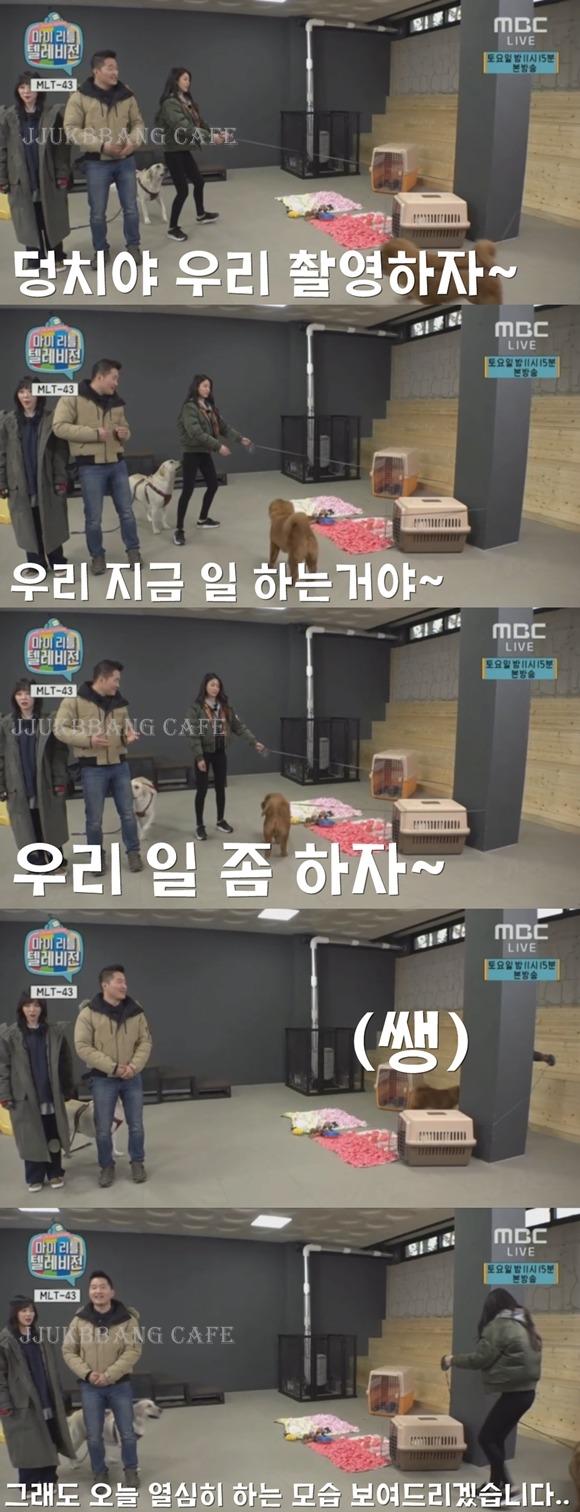 오늘자 마리텔에서 영혼털린 설현,민아.gif | 인스티즈
