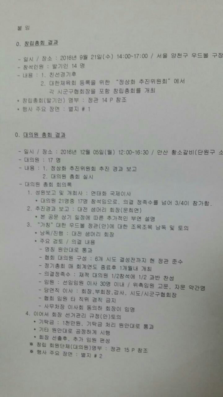 대한우드볼협회 이미지