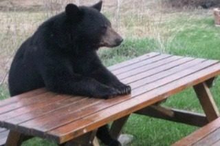 너그러워진 마음으로 터는 해충놈들.jpg | 인스티즈